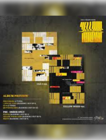 ⁦[random] Straykids - Cle:Yellow Wood⁩ – תמונה ⁦2⁩